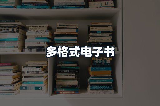 多格式电子书